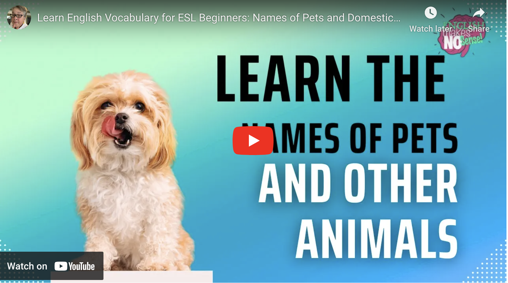 Learn the names of pets and other animals